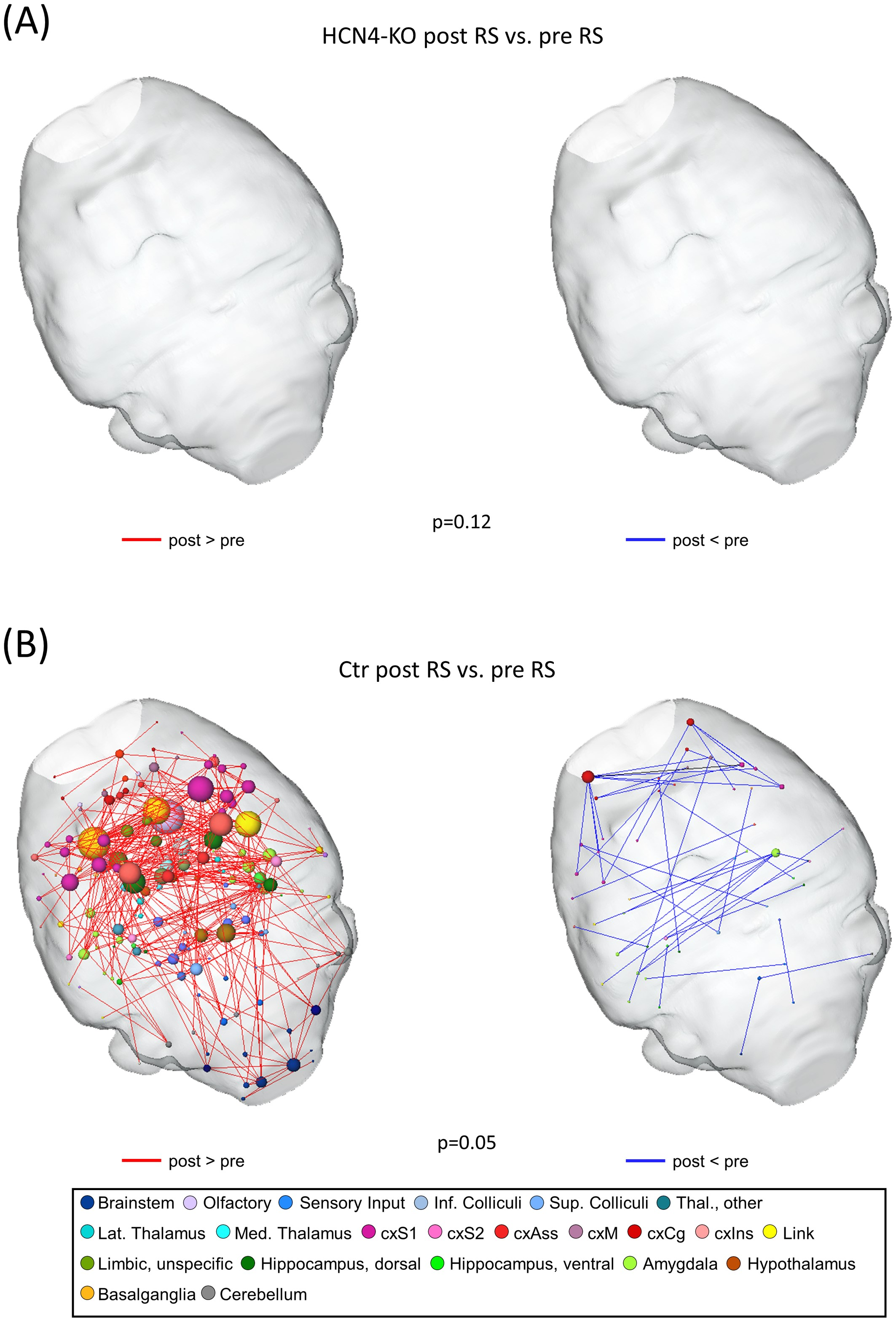 The impact of HCN4 channels on CNS brain networks as a new target in pain development